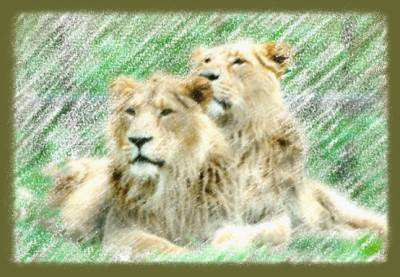 leon.wmf (3606 bytes)